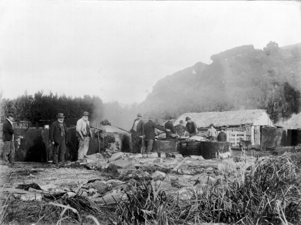 Te Awaiti Bay, Marlborough Sounds, around 1890. Men around at tryworks. 