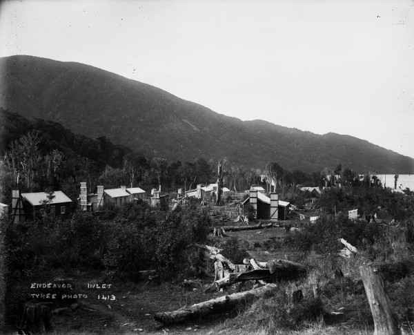 View of settlement at Endeavour Inlet. 