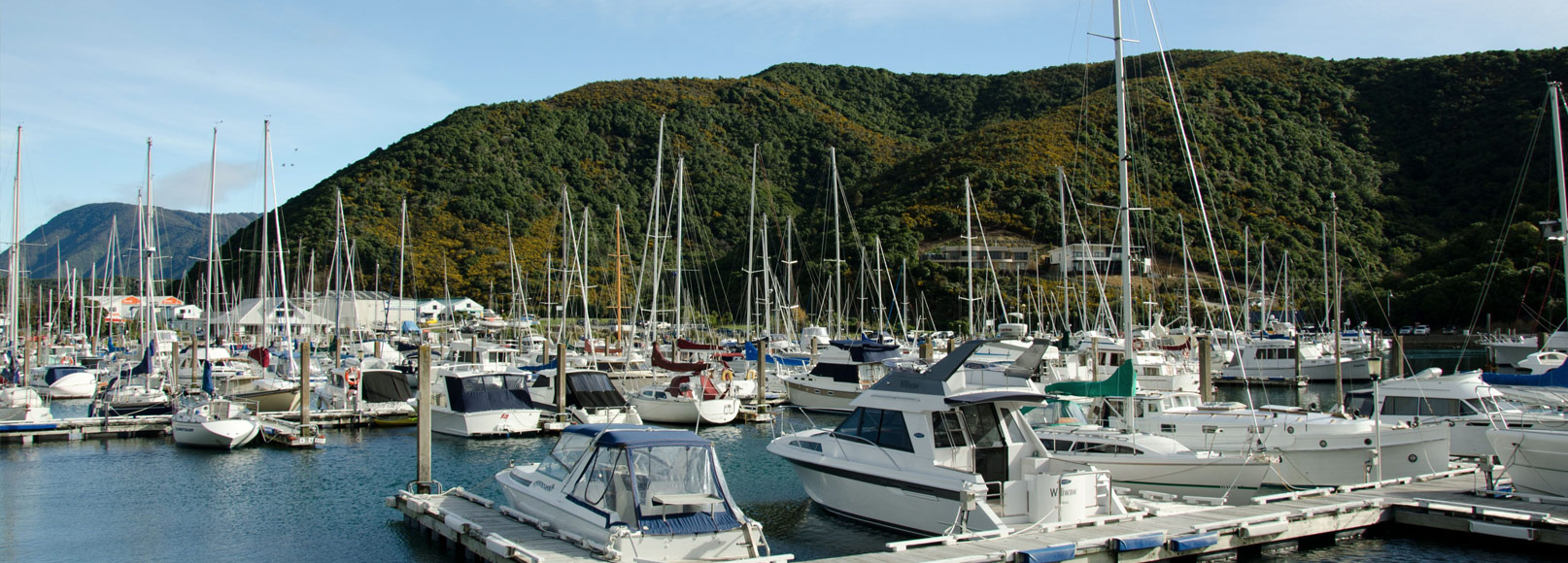 waikawa marina